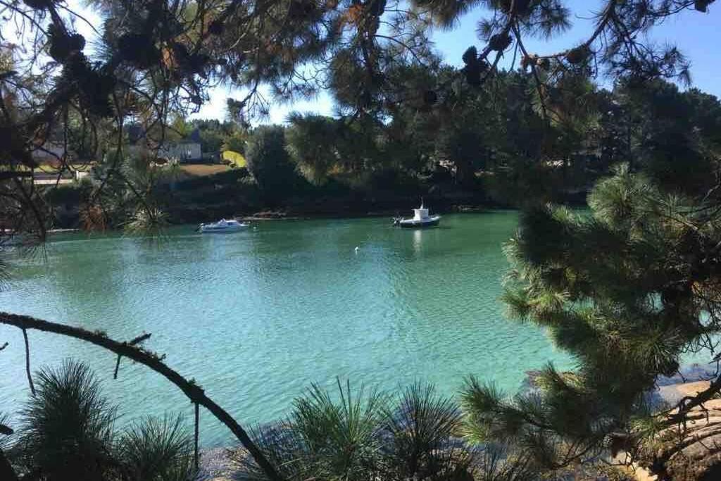 L'Olivier Du Cabellou, A 900 M Des Plages Concarneau Eksteriør bilde
