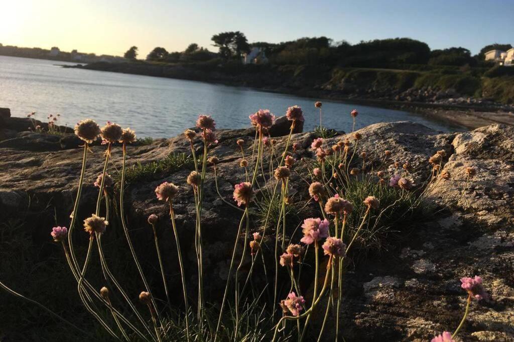 L'Olivier Du Cabellou, A 900 M Des Plages Concarneau Eksteriør bilde